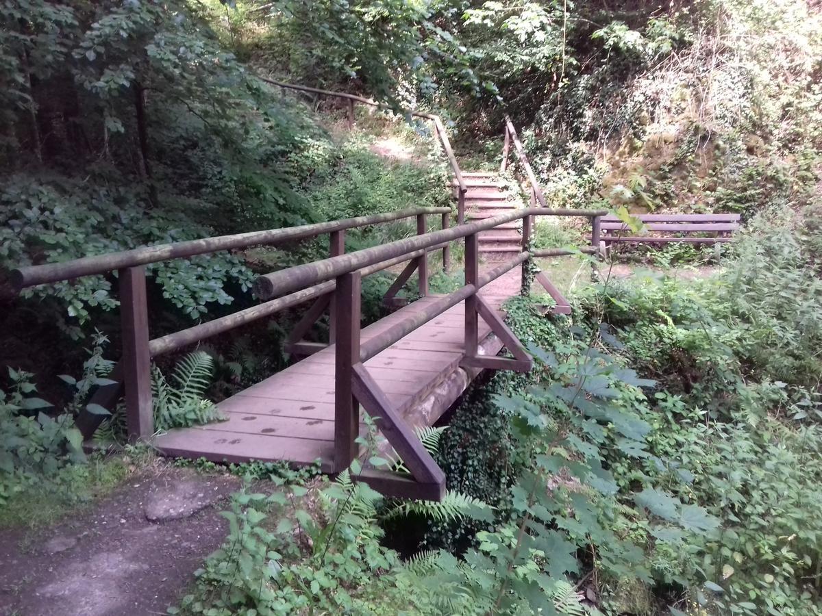 באד ברטריך Gaestehaus Viktoria מראה חיצוני תמונה